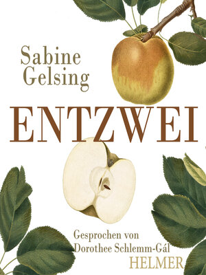cover image of Entzwei